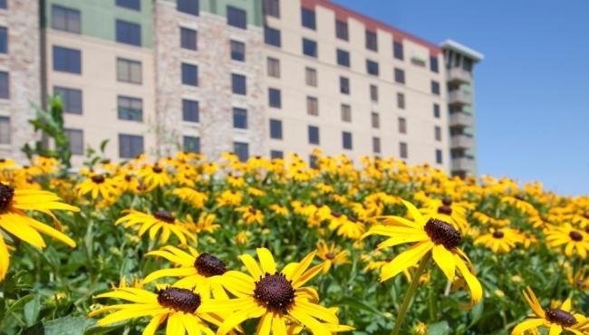 Great Wolf Lodge Bloomington Exterior foto